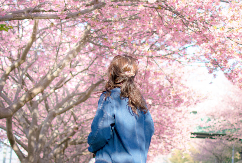 花見