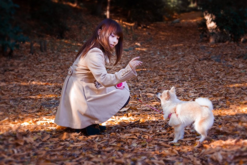 犬の散歩